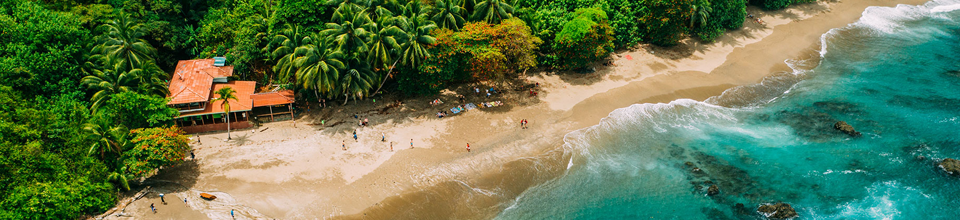 Coastal destination with a sandy beach, palm trees and clear blue water.